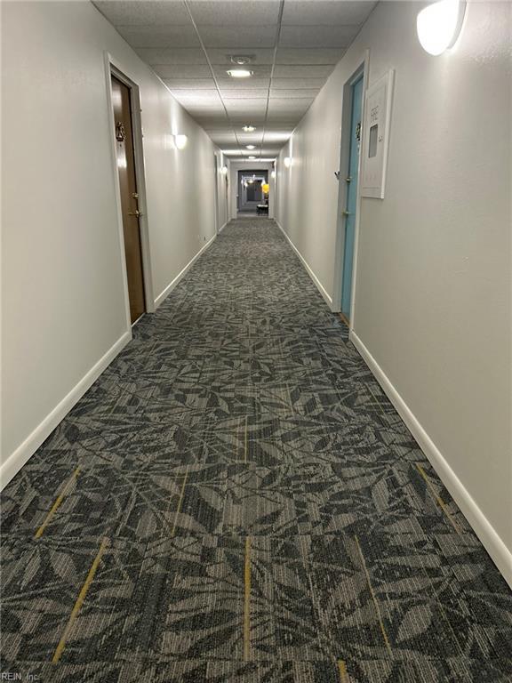 corridor featuring carpet, a drop ceiling, and baseboards
