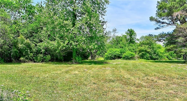 617 Saint Brides Rd W, Chesapeake, VA 23322 - view of yard