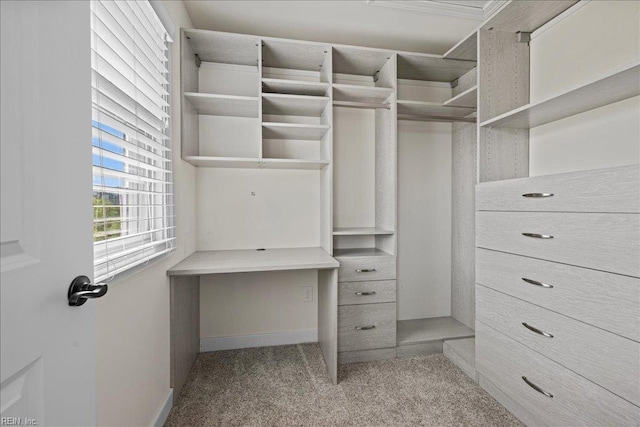 spacious closet with carpet floors