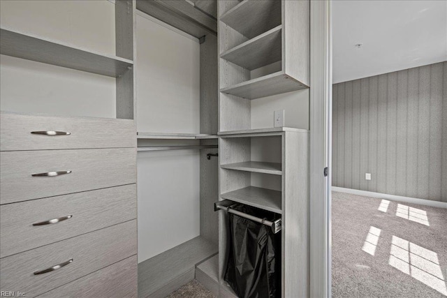 spacious closet featuring carpet floors