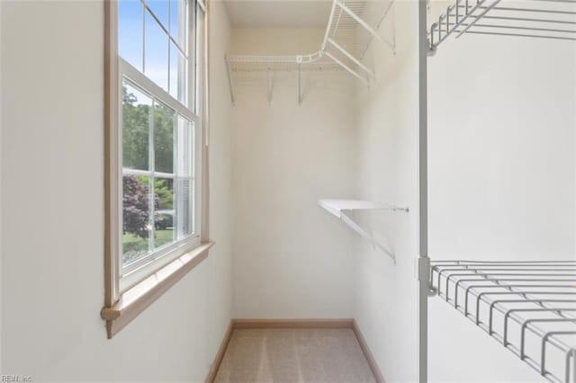walk in closet with carpet
