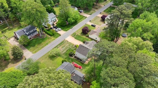 bird's eye view
