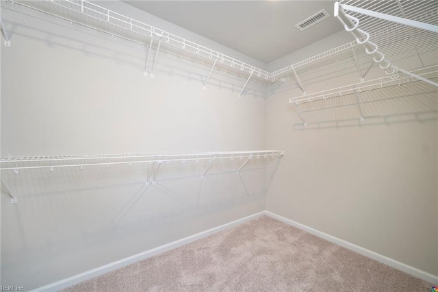 spacious closet with carpet flooring and visible vents