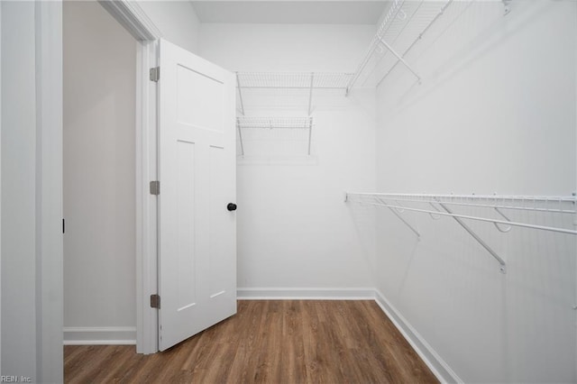 walk in closet featuring wood finished floors