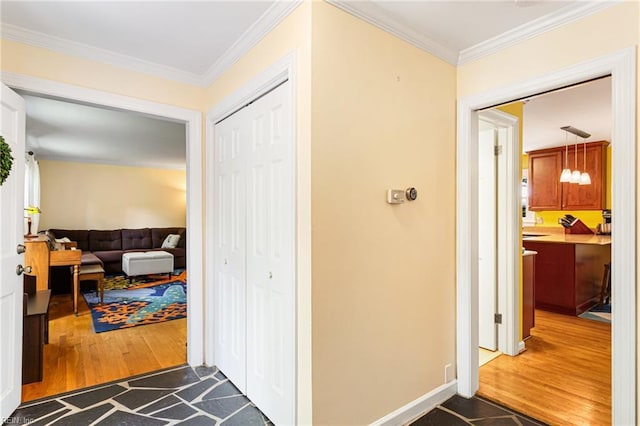 hall featuring dark wood finished floors and crown molding
