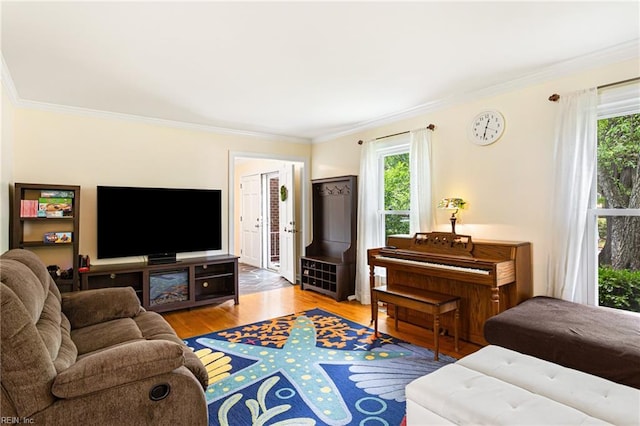 living room with a wealth of natural light, ornamental molding, and light wood-style flooring