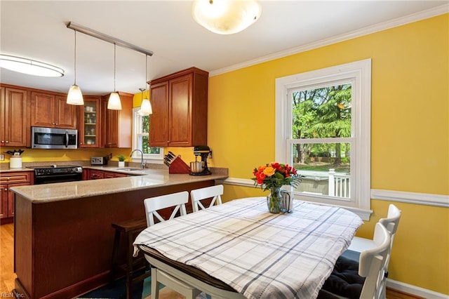 kitchen featuring range with electric stovetop, a sink, stainless steel microwave, a peninsula, and glass insert cabinets