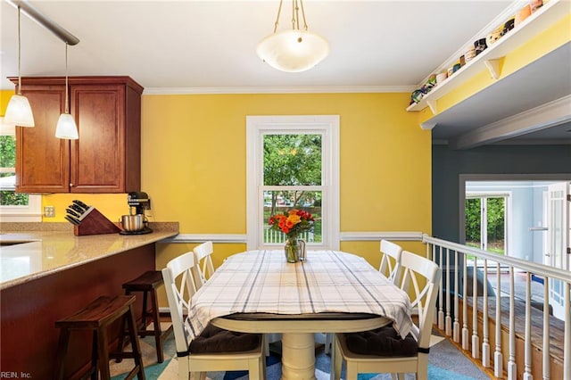 dining room featuring ornamental molding and a healthy amount of sunlight