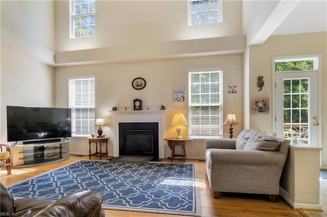 3733 Captain Wynne Dr, Williamsburg, VA 23185 - living area featuring a glass covered fireplace, wood finished floors, and a towering ceiling