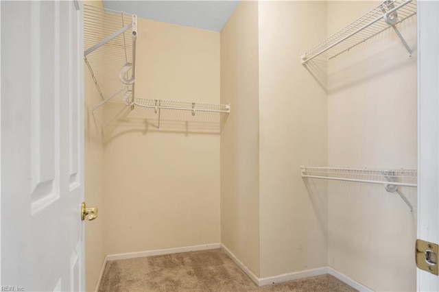3733 Captain Wynne Dr, Williamsburg, VA 23185 - walk in closet featuring carpet flooring