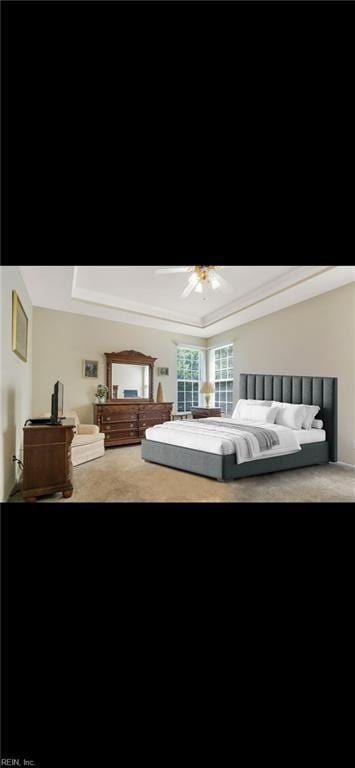 3733 Captain Wynne Dr, Williamsburg, VA 23185 - bedroom with a raised ceiling, carpet, and ceiling fan