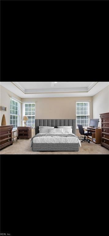 3733 Captain Wynne Dr, Williamsburg, VA 23185 - carpeted bedroom featuring ornamental molding and a tray ceiling