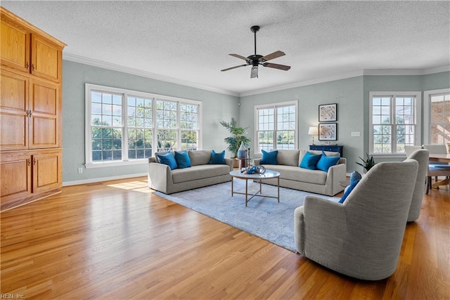 living area with ceiling fan, a textured ceiling, crown molding, light wood-type flooring, and baseboards