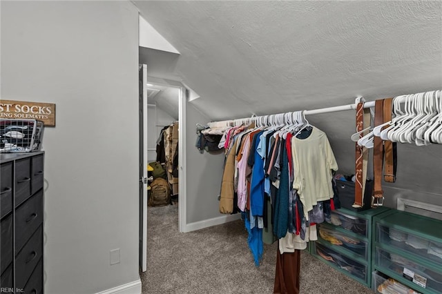 212 Cherokee Rd, Hampton, VA 23661 - walk in closet with lofted ceiling and carpet floors