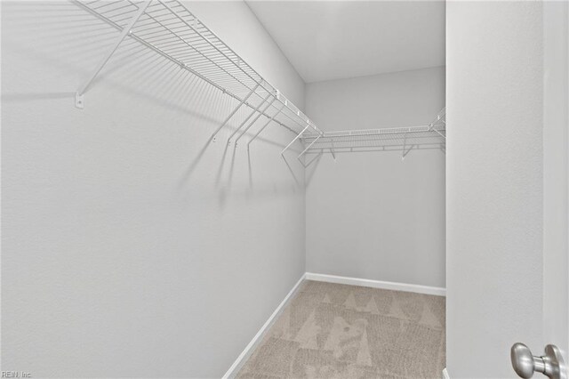 6471 Swan Arch, Norfolk, VA 23513 - walk in closet featuring carpet flooring