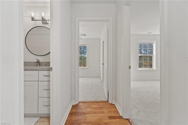 hallway featuring light carpet, a healthy amount of sunlight, and a sink