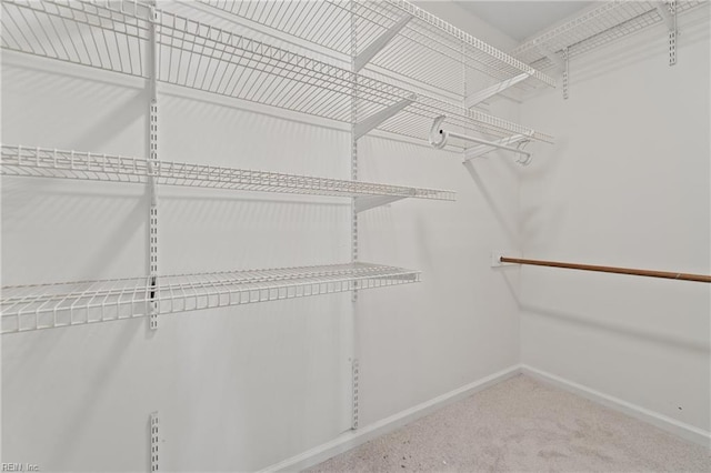 spacious closet with carpet floors