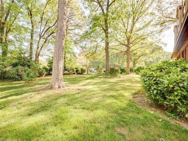 view of yard
