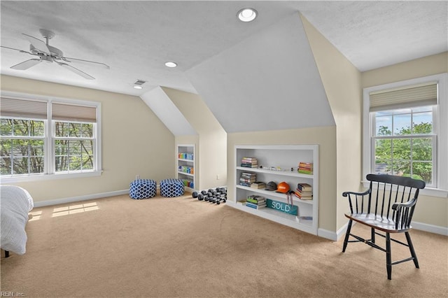 4011 E Providence Rd, Williamsburg, VA 23188 - playroom featuring baseboards, carpet floors, lofted ceiling, and built in shelves