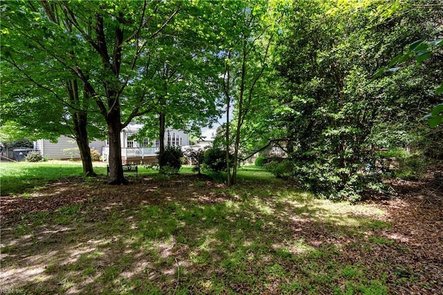 4011 E Providence Rd, Williamsburg, VA 23188 - view of yard