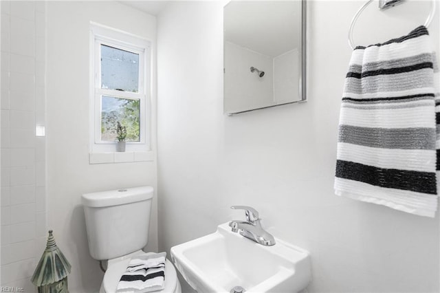 bathroom featuring toilet and a sink