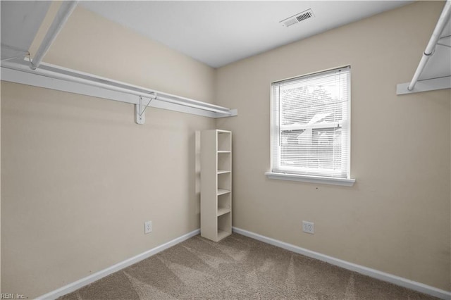 spacious closet featuring carpet floors and visible vents
