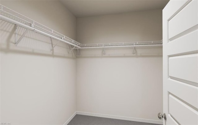 spacious closet with carpet