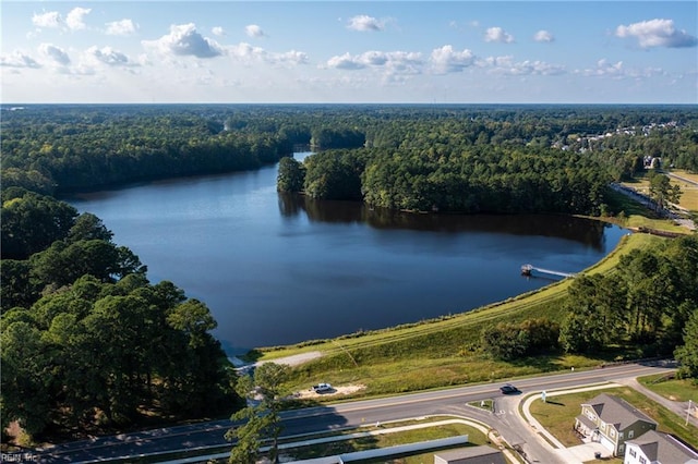 228 Mill Stream Dr, Suffolk, VA 23434 - drone / aerial view of a heavily wooded area and a large body of water