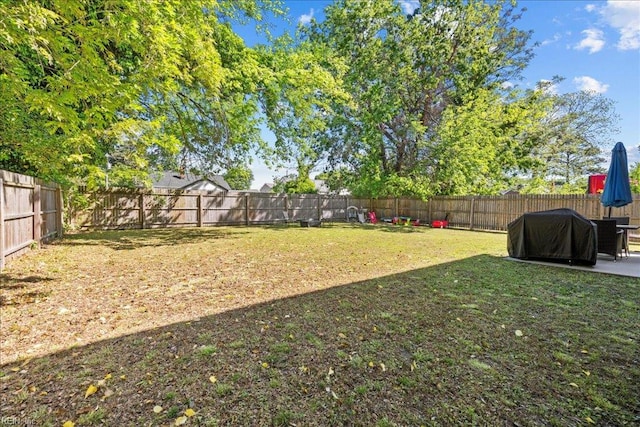 view of yard featuring a fenced backyard and a patio area