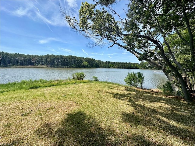 property view of water featuring a wooded view
