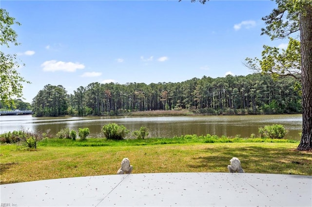water view with a view of trees