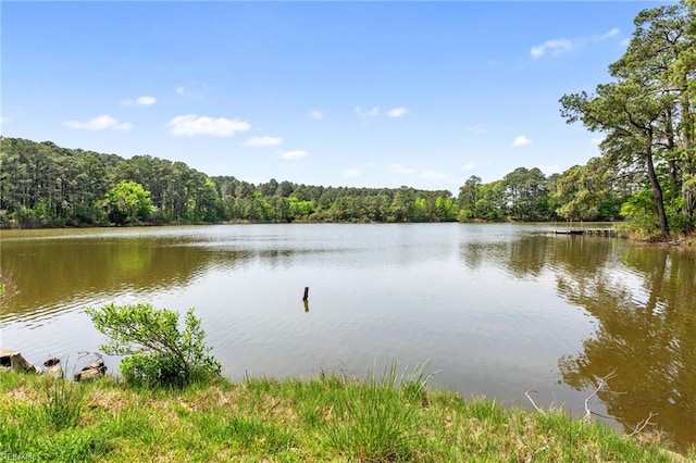 water view with a wooded view