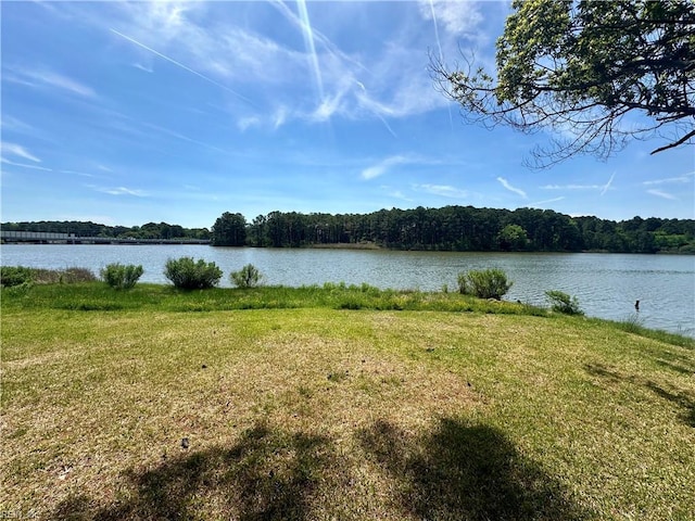 property view of water featuring a view of trees