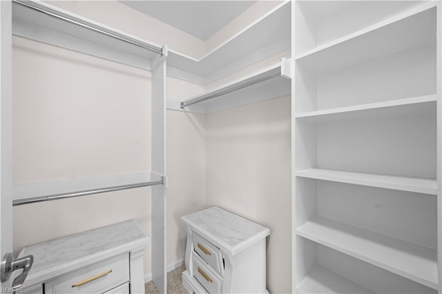 view of walk in closet