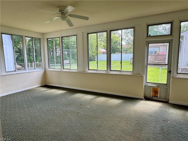 unfurnished sunroom with a wealth of natural light, carpet, and baseboards