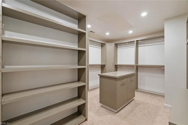 spacious closet with visible vents