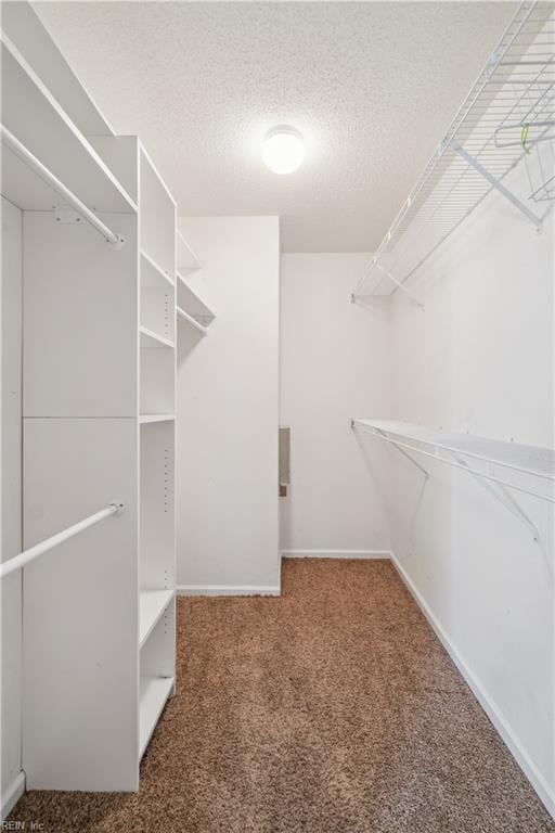 spacious closet with carpet flooring