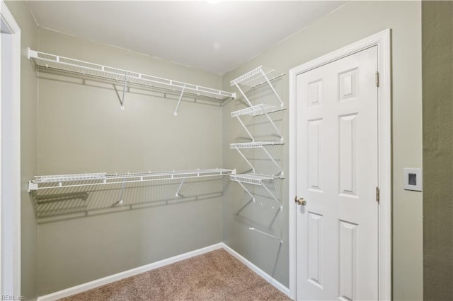 walk in closet with carpet