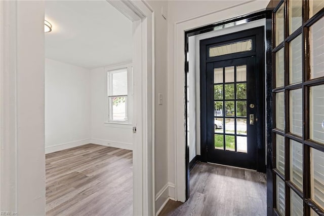 entrance foyer with baseboards, wood finished floors, and plenty of natural light