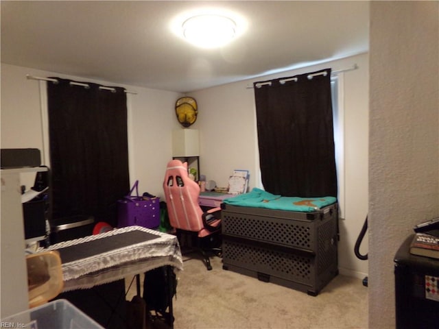 bedroom with carpet flooring