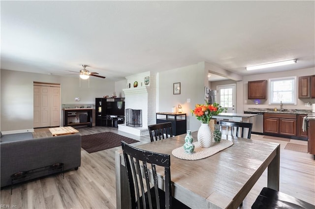 dining area with a fireplace, a ceiling fan, and light wood-style flooring
