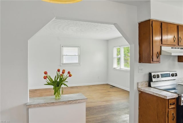 1619 Linden Ave, Chesapeake, VA 23325 - kitchen with stainless steel electric range oven, brown cabinets, light countertops, under cabinet range hood, and light wood finished floors
