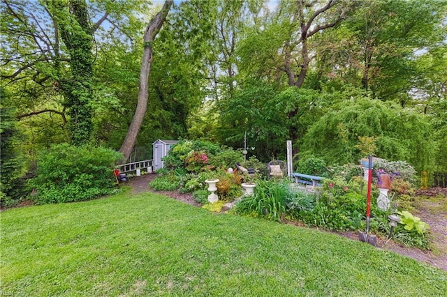 view of yard featuring an outdoor structure and a shed
