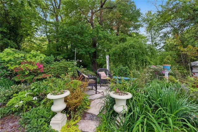view of yard featuring a patio