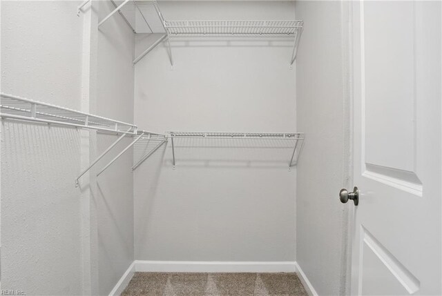 1612 Nansemond Pkwy, Suffolk, VA 23434 - spacious closet featuring carpet flooring