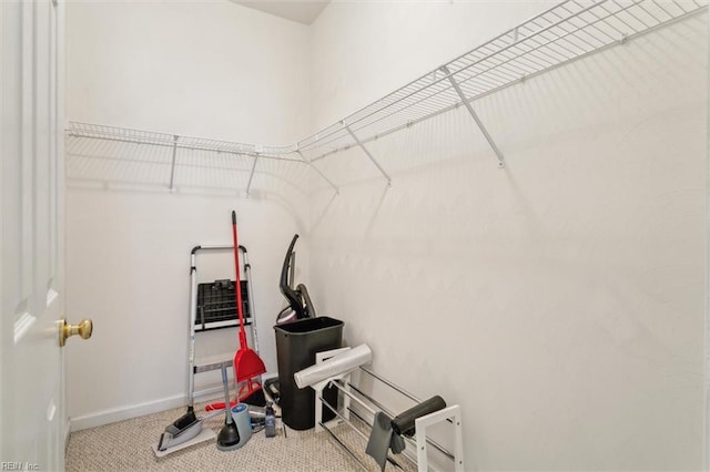 walk in closet featuring carpet floors