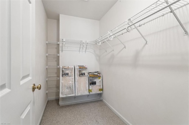 walk in closet with carpet
