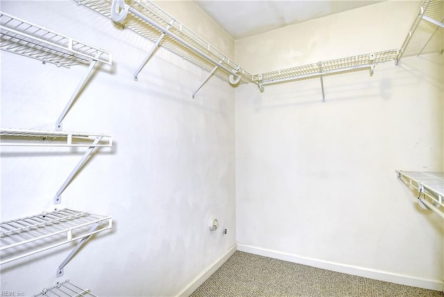 spacious closet featuring carpet floors