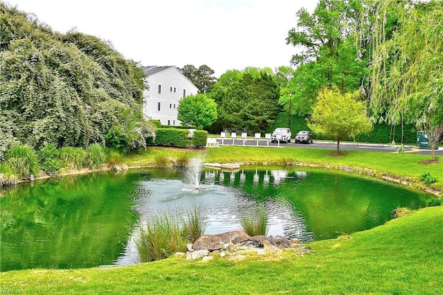 water view