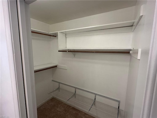 view of walk in closet